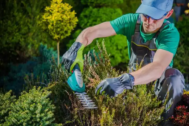 landscaping services Clay City